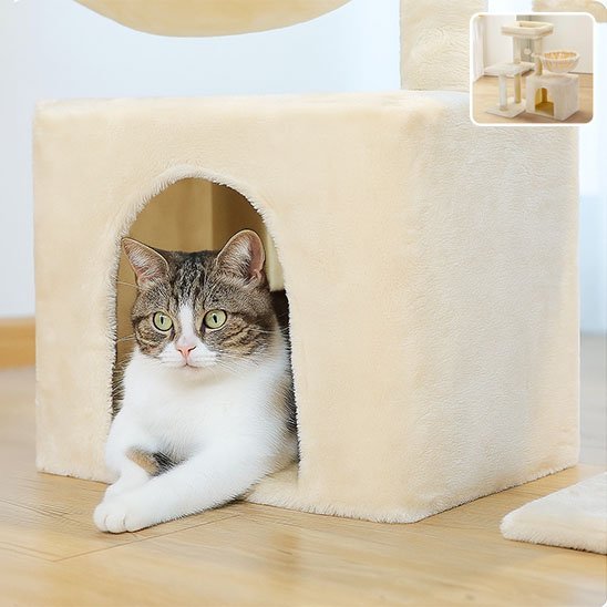 Arbre à Chat Compact | FélinConfort