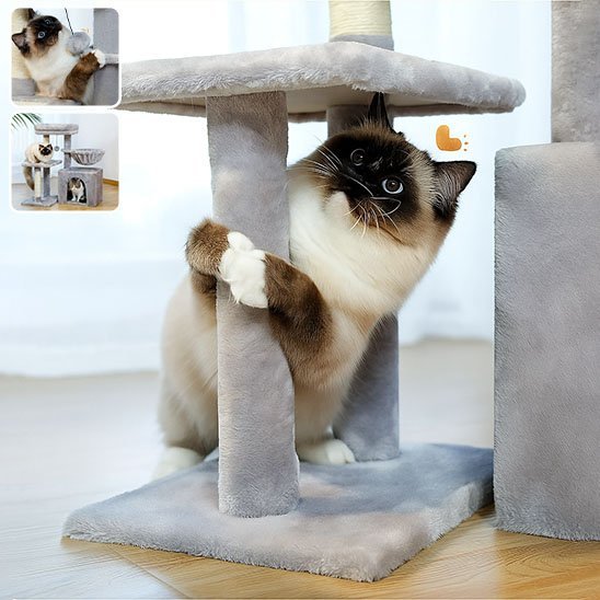 Arbre à Chat Compact | FélinConfort