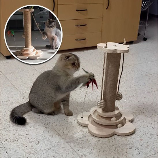 Arbre à Chat en Bois Naturel Design | NatureFélin