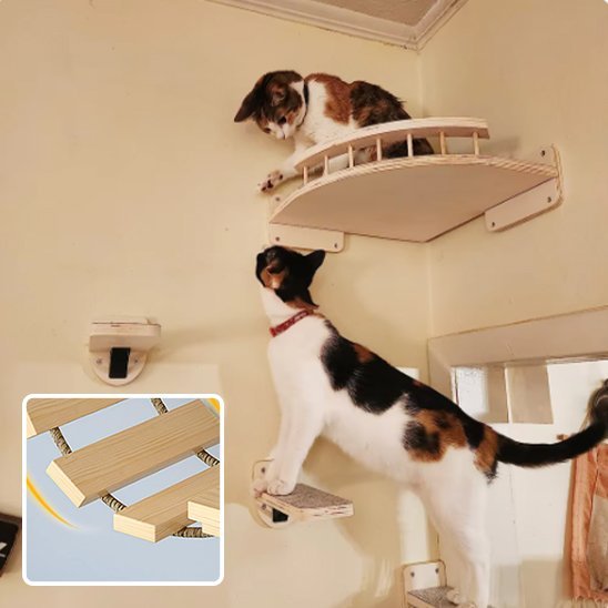 Arbre Ă  Chat Mural | VerticalPaws