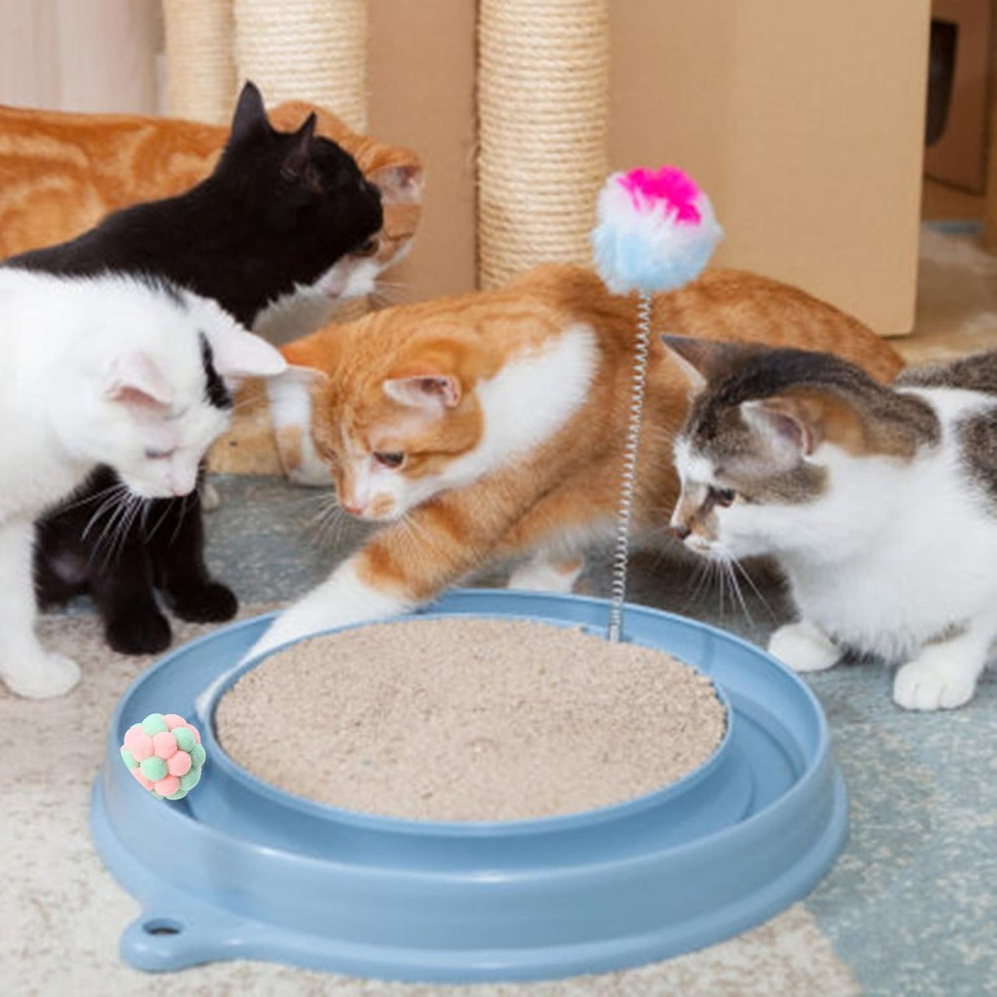 Balle pour Chat - JingleChase™ - Rose