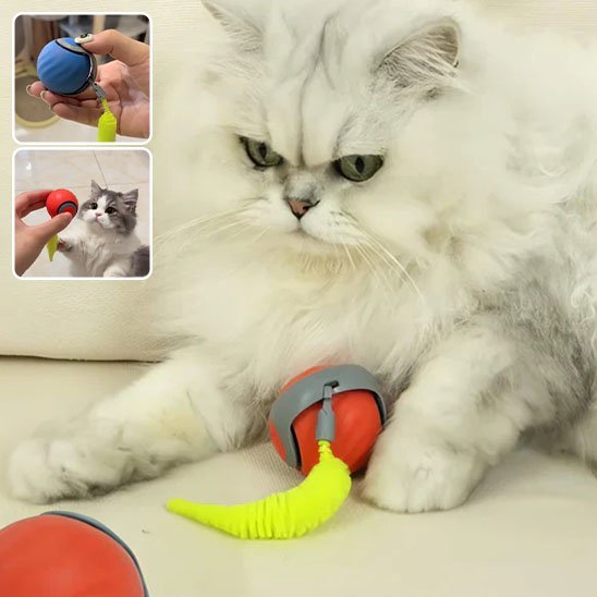 Jouet Chat Interactif Intelligent | FélinFun