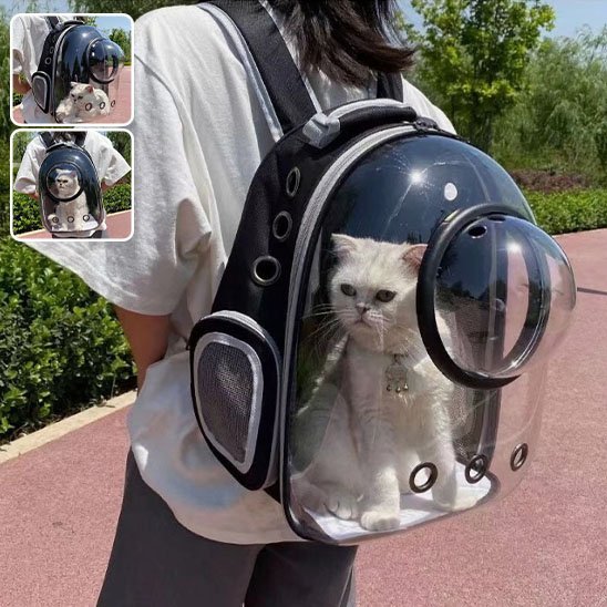 Sac de Transport pour Chat | ComfortTravel