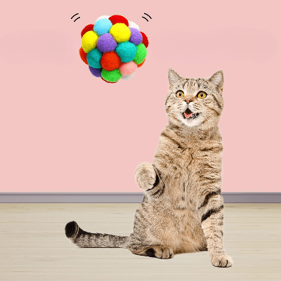 Balle pour Chat - JingleChase™ - Multicouleur