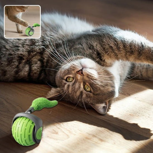 Jouet Chat Interactif Auto Électrique Roulant | FélinActif