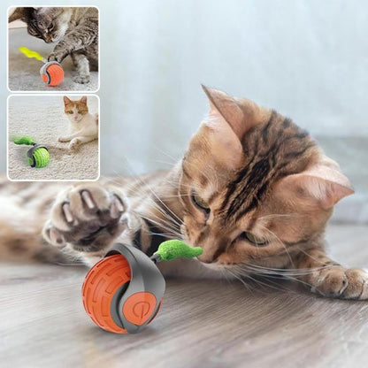 Jouet Chat Interactif Auto Électrique Roulant | FélinActif