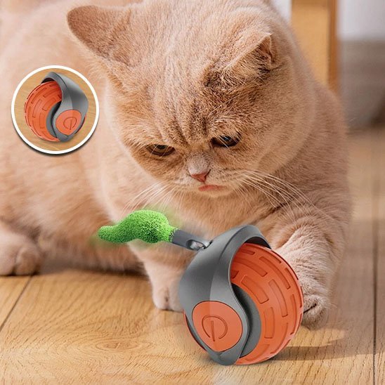 Jouet Chat Interactif Auto Électrique Roulant | FélinActif