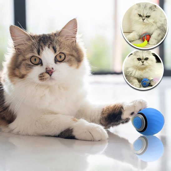 Jouet Chat Interactif Intelligent | FélinFun