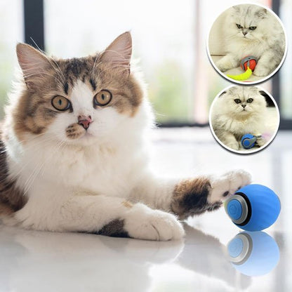 Jouet Chat Interactif Intelligent | FélinFun