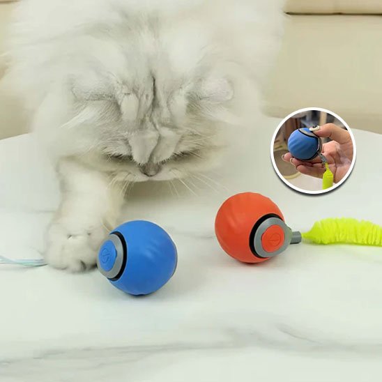 Jouet Chat Interactif Intelligent | FélinFun