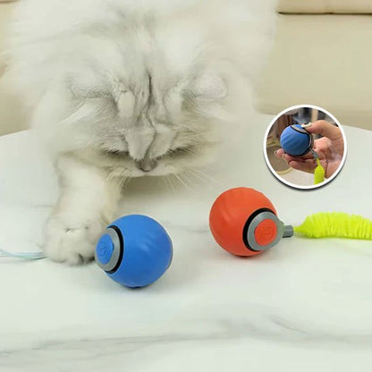 Jouet Chat Interactif Intelligent | FélinFun