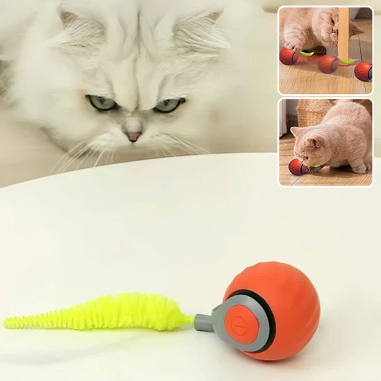 Jouet Chat Interactif Intelligent | FélinFun
