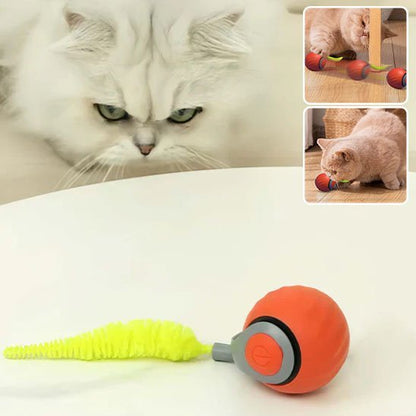 Jouet Chat Interactif Intelligent | FélinFun