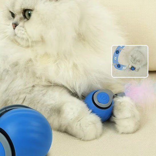 Jouet Chat Interactif Intelligent | FélinFun