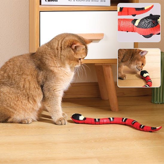 Serpent intelligent Automatique Rechargeable | Jouets Interactif | ChasseFelix