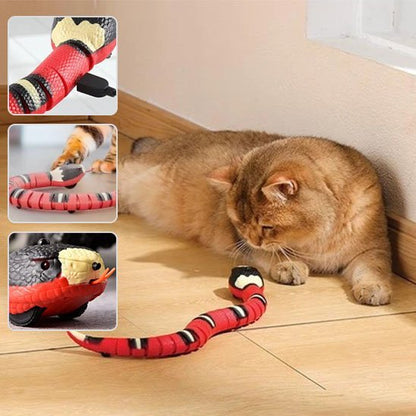 Serpent intelligent Automatique Rechargeable | Jouets Interactif | ChasseFelix