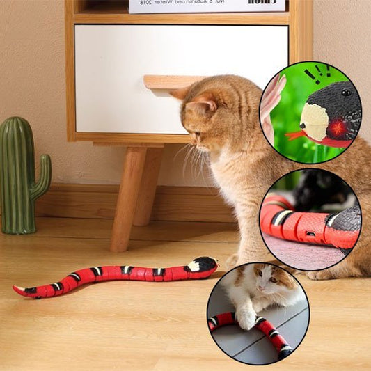 Serpent intelligent Automatique Rechargeable | Jouets Interactif | ChasseFelix