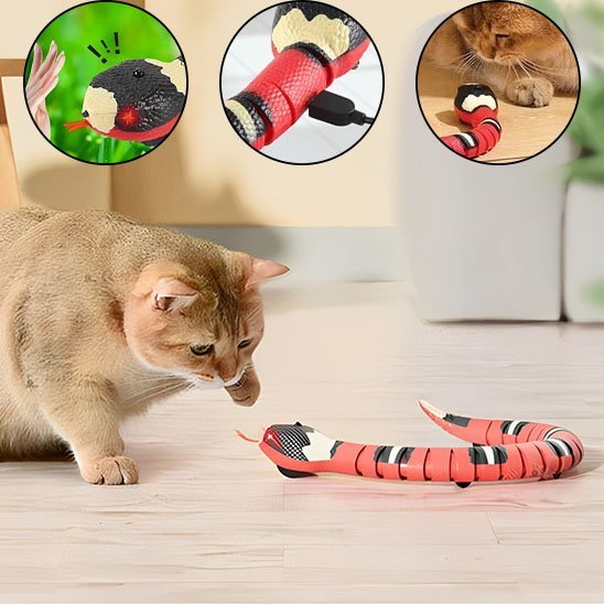 Serpent intelligent Automatique Rechargeable | Jouets Interactif | ChasseFelix