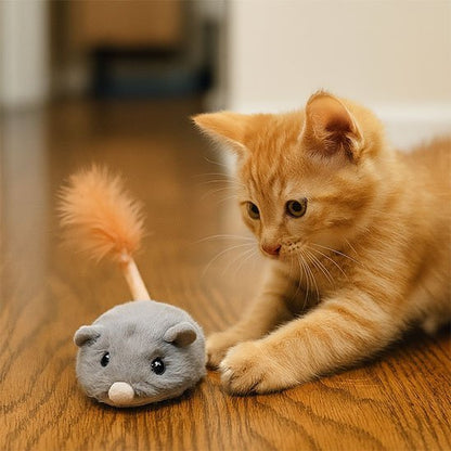Souris | Jouet Interactif pour Chat | FélinPlay