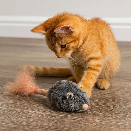 Souris | Jouet Interactif pour Chat | FélinPlay